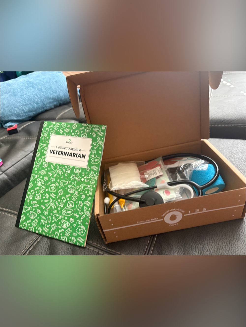 Children's Veterinarian Play Kit in Teal and Black